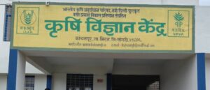 KVK Sangli Bharti 2025