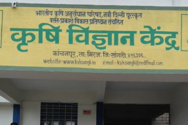 KVK Sangli Bharti 2025