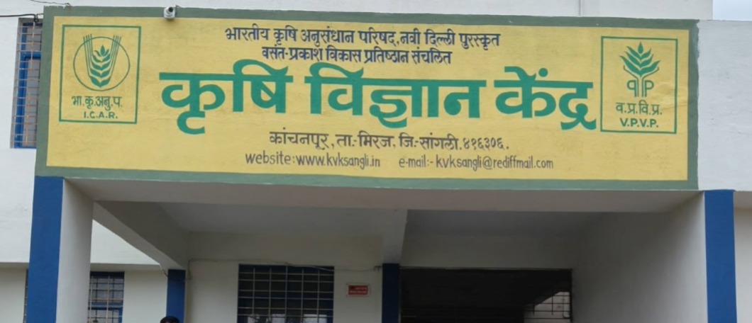 KVK Sangli Bharti 2025